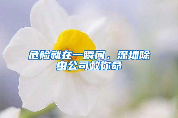 危險(xiǎn)就在一瞬間，深圳除蟲(chóng)公司救你命