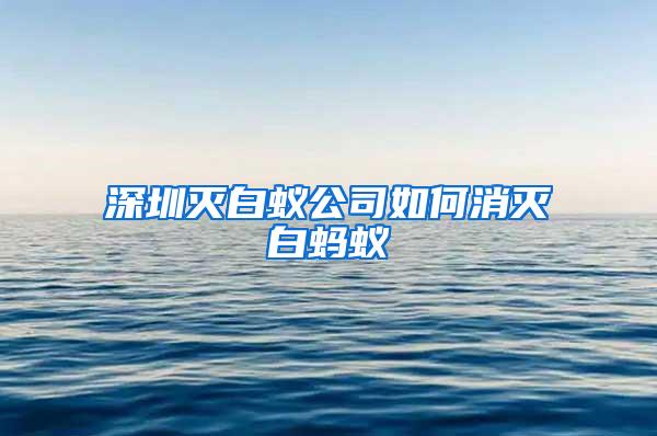 深圳滅白蟻公司如何消滅白螞蟻