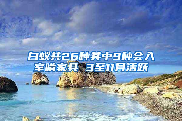 白蟻共26種其中9種會(huì)入室啃家具 3至11月活躍