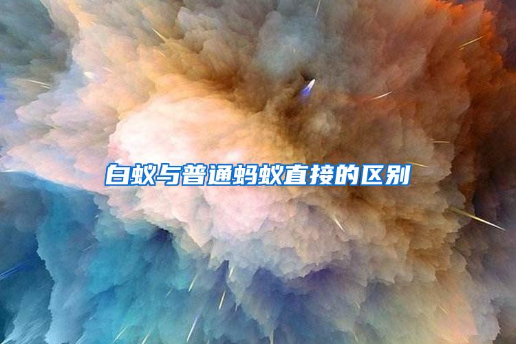 白蟻與普通螞蟻直接的區(qū)別