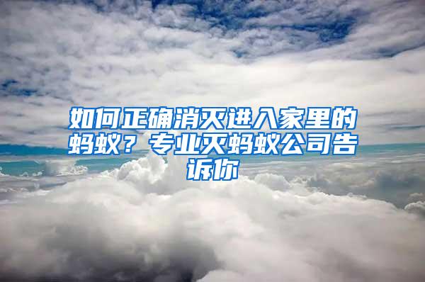 如何正確消滅進(jìn)入家里的螞蟻？專業(yè)滅螞蟻公司告訴你