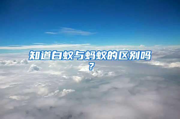 知道白蟻與螞蟻的區(qū)別嗎？