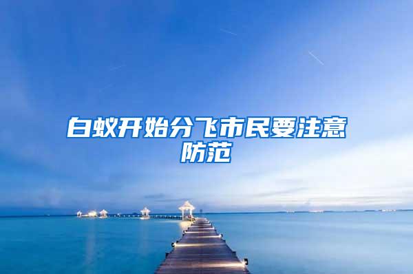 白蟻開始分飛市民要注意防范