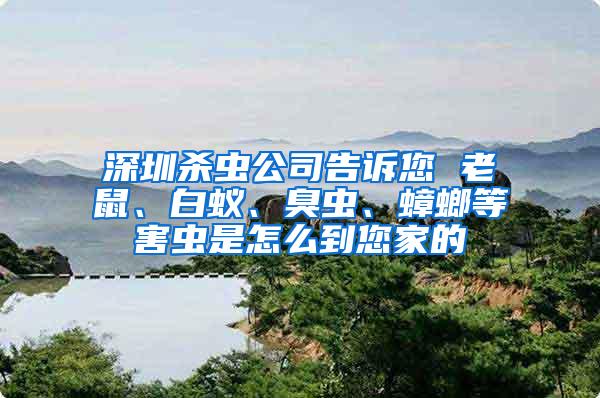 深圳殺蟲公司告訴您 老鼠、白蟻、臭蟲、蟑螂等害蟲是怎么到您家的