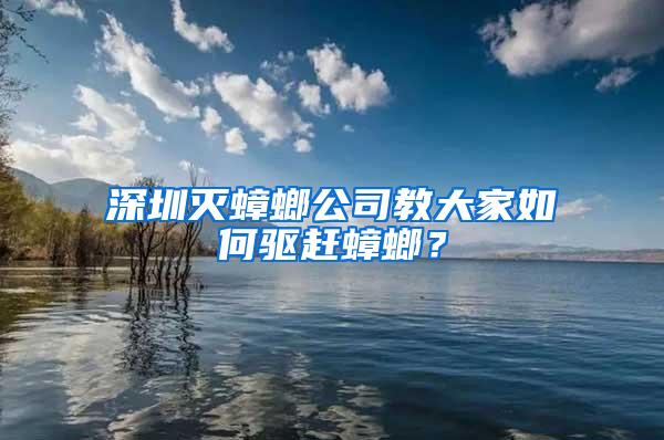 深圳滅蟑螂公司教大家如何驅(qū)趕蟑螂？