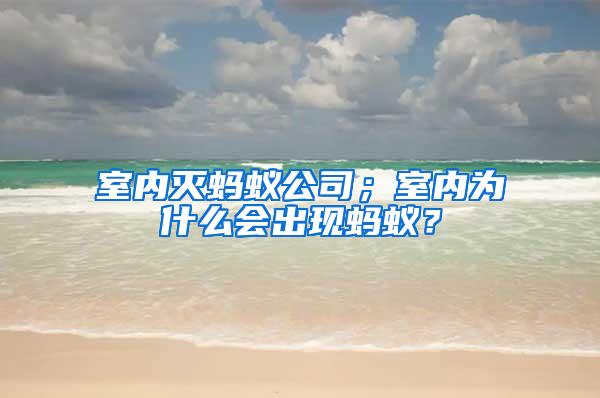 室內(nèi)滅螞蟻公司；室內(nèi)為什么會(huì)出現(xiàn)螞蟻？