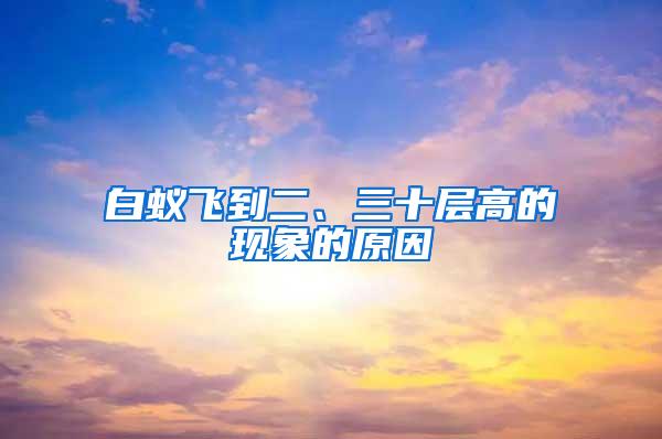 白蟻飛到二、三十層高的現(xiàn)象的原因