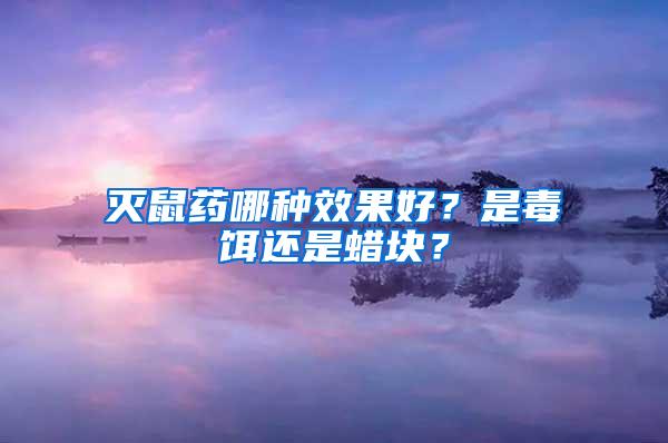 滅鼠藥哪種效果好？是毒餌還是蠟塊？