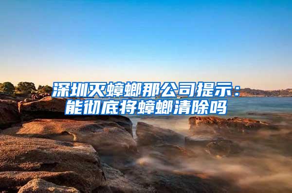 深圳滅蟑螂那公司提示：能徹底將蟑螂清除嗎