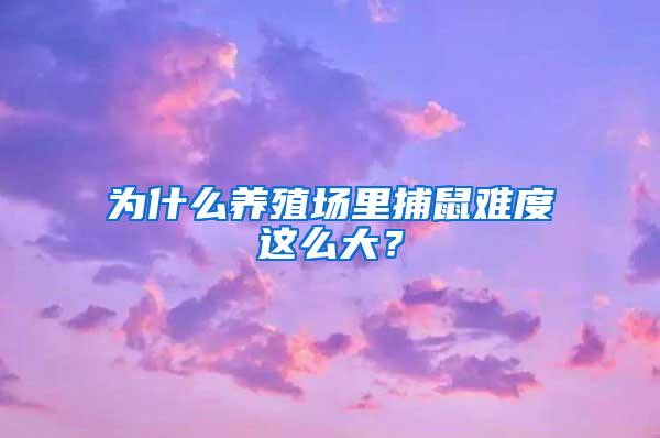 為什么養(yǎng)殖場(chǎng)里捕鼠難度這么大？