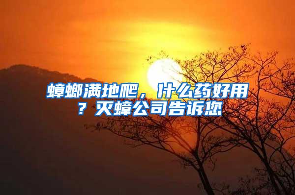 蟑螂滿地爬，什么藥好用？滅蟑公司告訴您