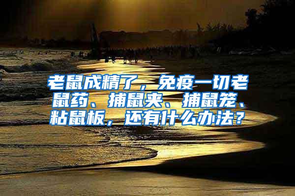 老鼠成精了，免疫一切老鼠藥、捕鼠夾、捕鼠籠、粘鼠板，還有什么辦法？