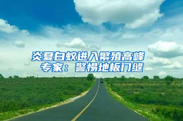 炎夏白蟻進(jìn)入繁殖高峰 專家：警惕地板門縫