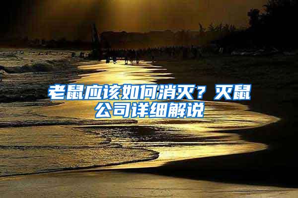 老鼠應(yīng)該如何消滅？滅鼠公司詳細解說