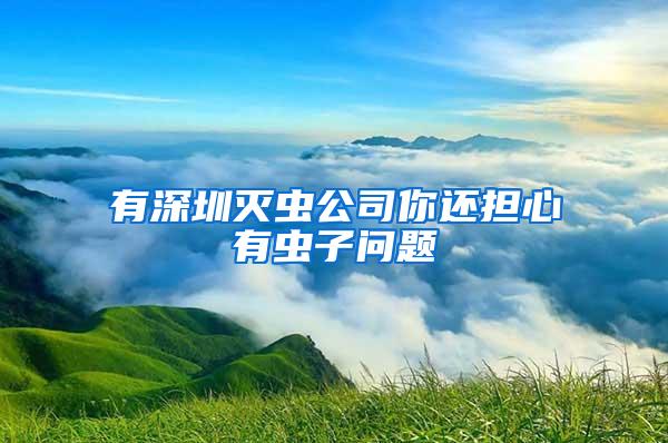 有深圳滅蟲公司你還擔(dān)心有蟲子問題