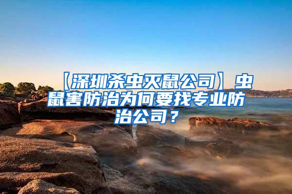 【深圳殺蟲滅鼠公司】蟲鼠害防治為何要找專業(yè)防治公司？