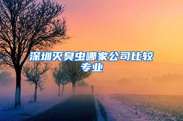 深圳滅臭蟲哪家公司比較專業(yè)