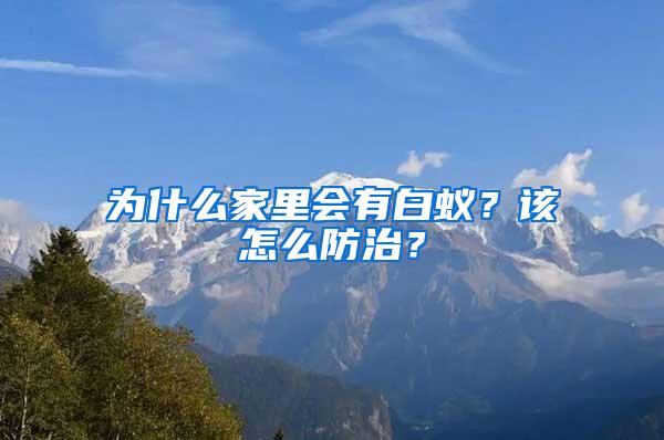 為什么家里會(huì)有白蟻？該怎么防治？