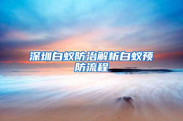 深圳白蟻防治解析白蟻預(yù)防流程