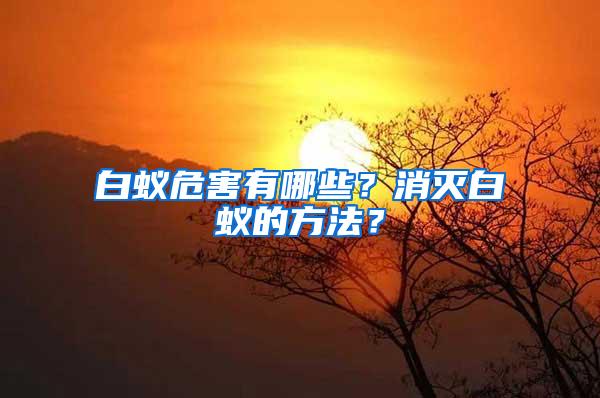 白蟻危害有哪些？消滅白蟻的方法？