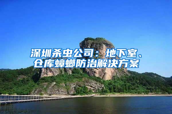 深圳殺蟲公司：地下室、倉庫蟑螂防治解決方案