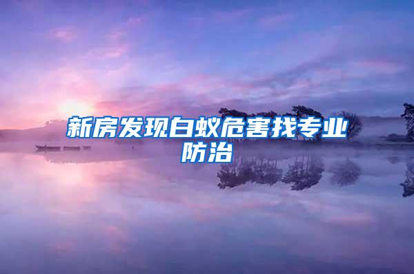 新房發(fā)現(xiàn)白蟻危害找專業(yè)防治