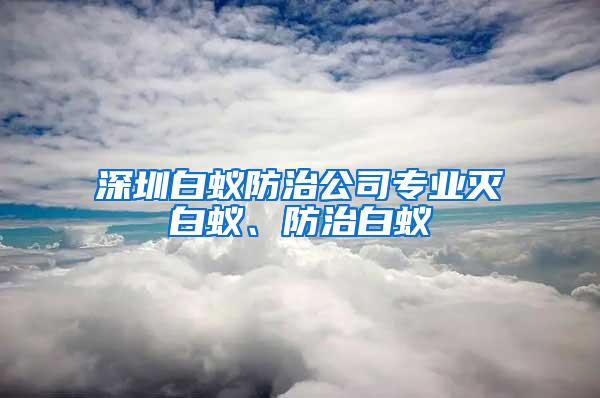 深圳白蟻防治公司專業(yè)滅白蟻、防治白蟻