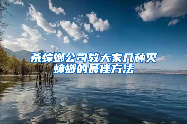 殺蟑螂公司教大家?guī)追N滅蟑螂的最佳方法