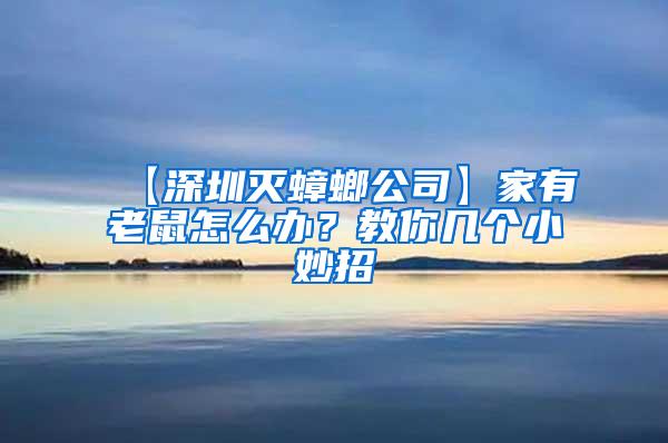 【深圳滅蟑螂公司】家有老鼠怎么辦？教你幾個(gè)小妙招