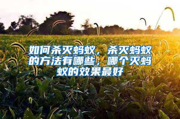 如何殺滅螞蟻，殺滅螞蟻的方法有哪些，哪個滅螞蟻的效果最好