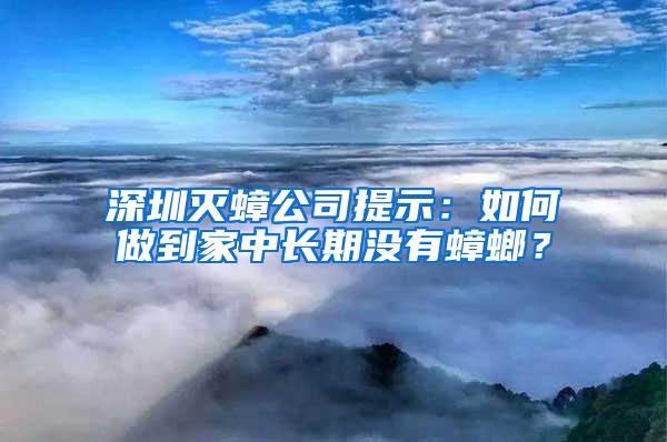 深圳滅蟑公司提示：如何做到家中長期沒有蟑螂？