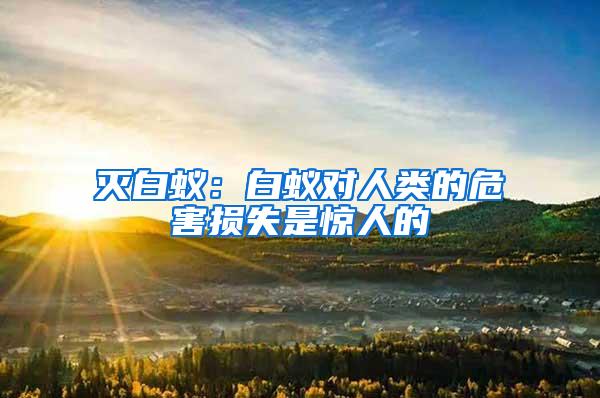 滅白蟻：白蟻對(duì)人類的危害損失是驚人的