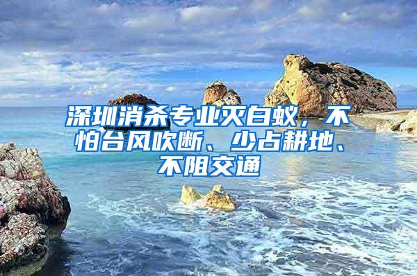 深圳消殺專業(yè)滅白蟻，不怕臺風吹斷、少占耕地、不阻交通