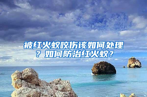 被紅火蟻咬傷該如何處理？如何防治紅火蟻？