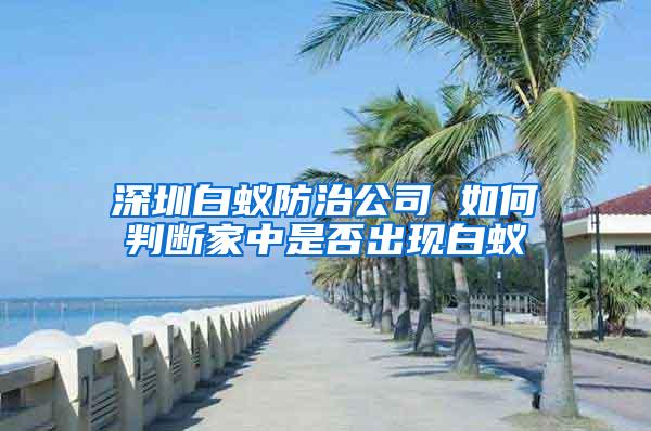 深圳白蟻防治公司 如何判斷家中是否出現(xiàn)白蟻