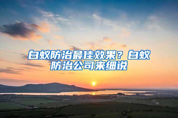 白蟻防治最佳效果？白蟻防治公司來(lái)細(xì)說(shuō)