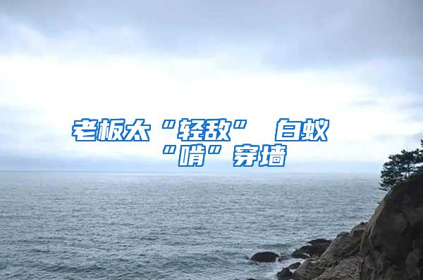 老板太“輕敵” 白蟻“啃”穿墻