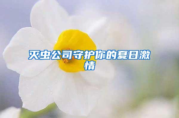 滅蟲公司守護你的夏日激情