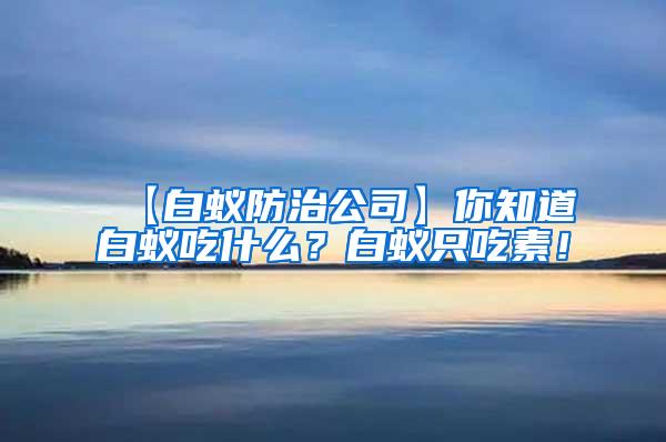 【白蟻防治公司】你知道白蟻吃什么？白蟻只吃素！