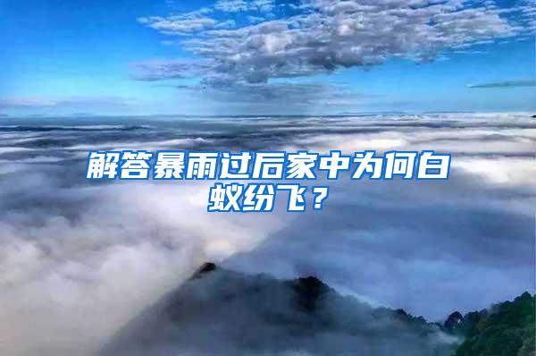 解答暴雨過(guò)后家中為何白蟻紛飛？