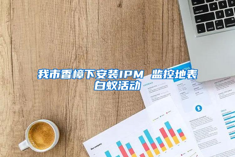 我市香樟下安裝IPM 監(jiān)控地表白蟻活動