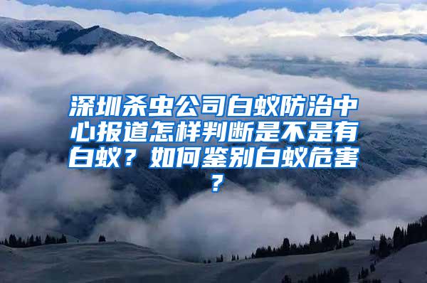 深圳殺蟲(chóng)公司白蟻防治中心報(bào)道怎樣判斷是不是有白蟻？如何鑒別白蟻危害？