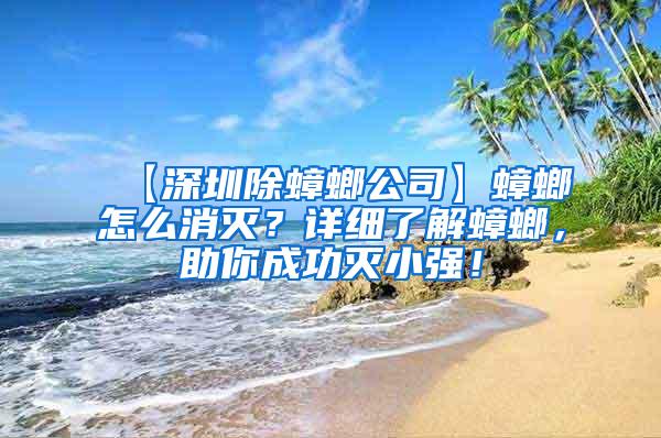 【深圳除蟑螂公司】蟑螂怎么消滅？詳細了解蟑螂，助你成功滅小強！