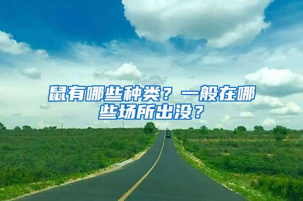 鼠有哪些種類？一般在哪些場所出沒？