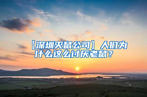 【深圳滅鼠公司】人們?yōu)槭裁催@么討厭老鼠？