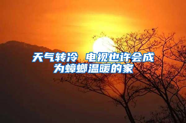 天氣轉(zhuǎn)冷 電視也許會(huì)成為蟑螂溫暖的家