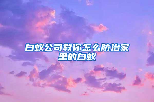 白蟻公司教你怎么防治家里的白蟻