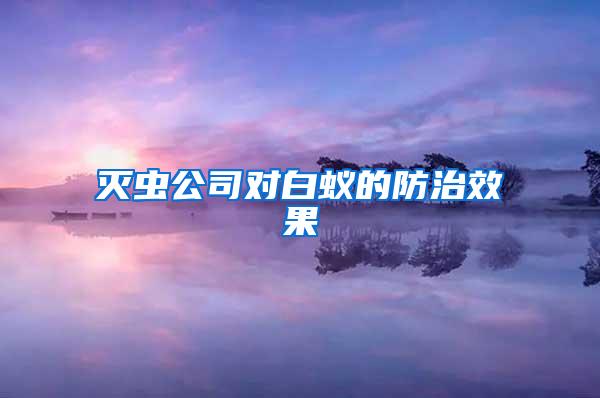 滅蟲公司對白蟻的防治效果