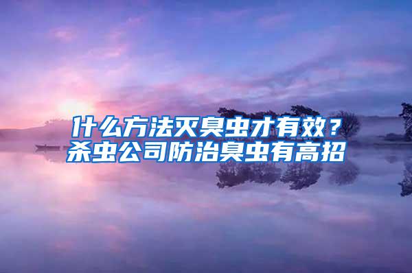 什么方法滅臭蟲才有效？殺蟲公司防治臭蟲有高招