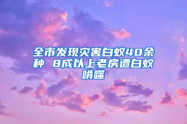 全市發(fā)現(xiàn)災害白蟻40余種 8成以上老房遭白蟻啃噬